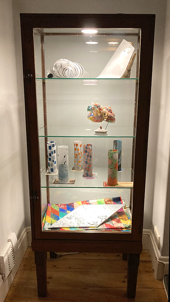 Vitrine: Maier-Bracey: 'A mutualist parasite meets an unrepeating repeat'